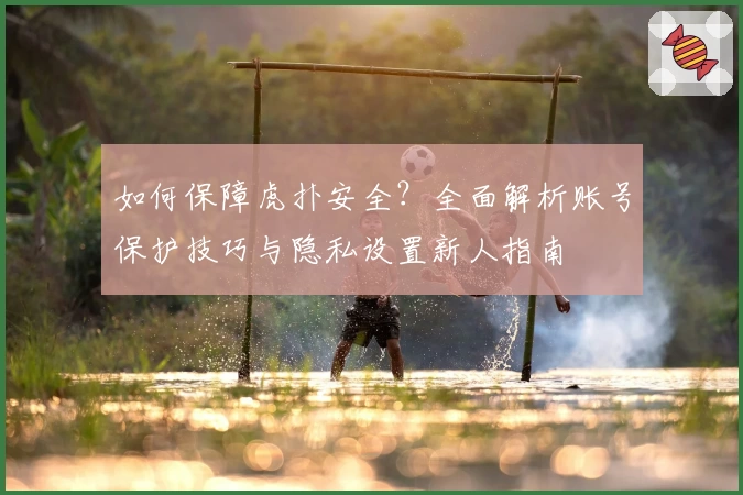 如何保障虎扑安全？全面解析账号保护技巧与隐私设置新人指南
